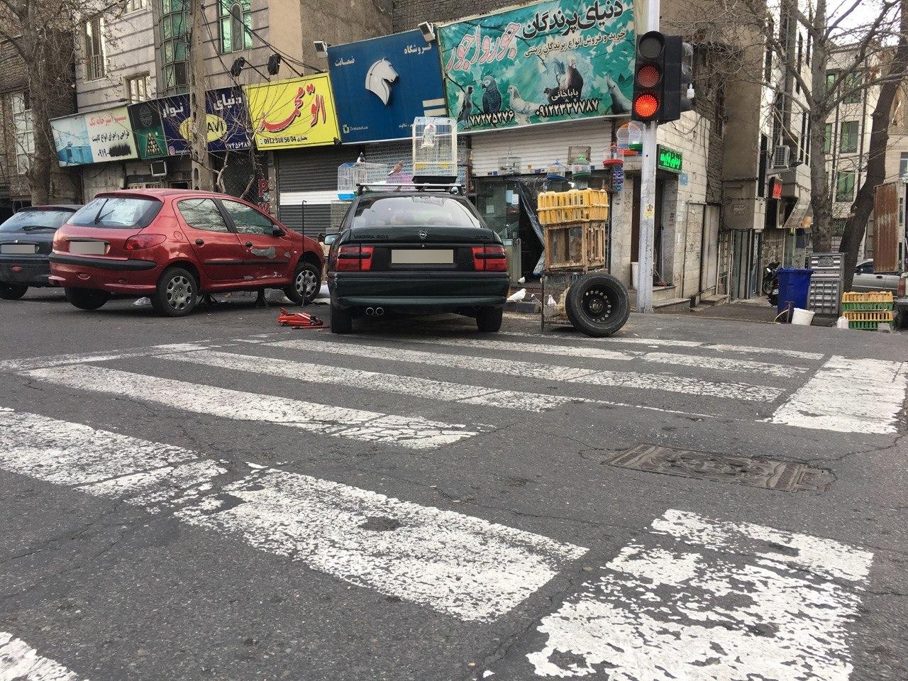 عکس پرنده فروشی جورواجور