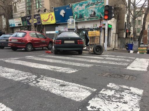 عکس پرنده فروشی جورواجور