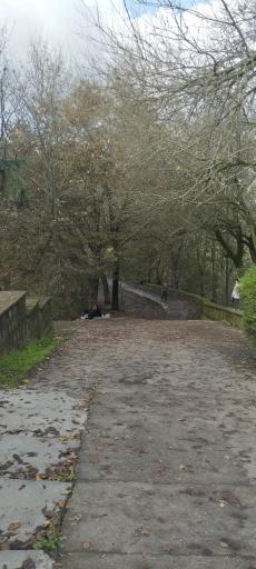 عکس بام سبز لاهیجان (شیطان کوه)