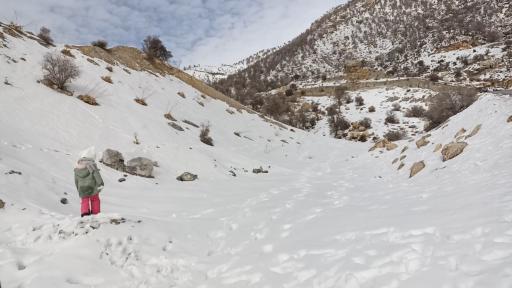 عکس کوه تاراز