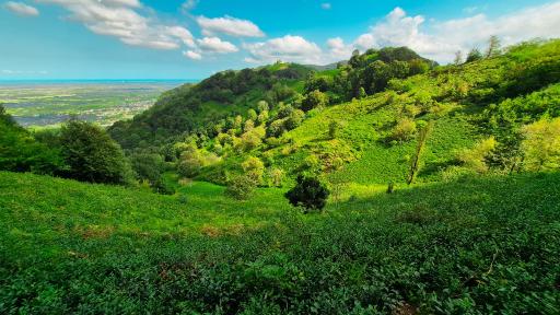 عکس بام سبز لاهیجان (شیطان کوه)