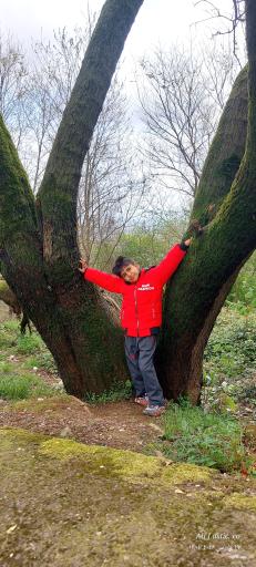 عکس بام سبز لاهیجان (شیطان کوه)