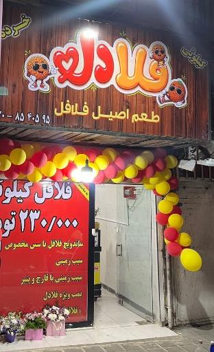 عکس فلادل