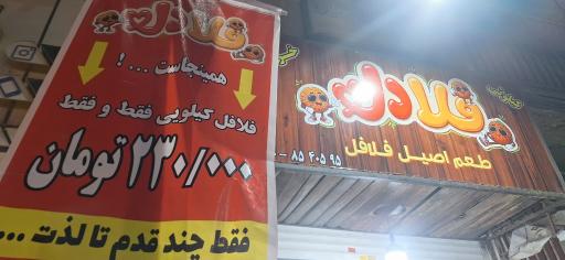 عکس فلادل