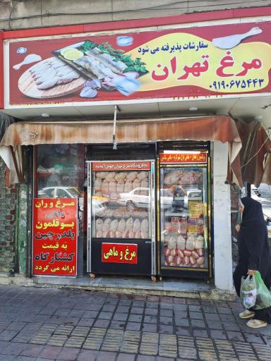 عکس مرغ تهران