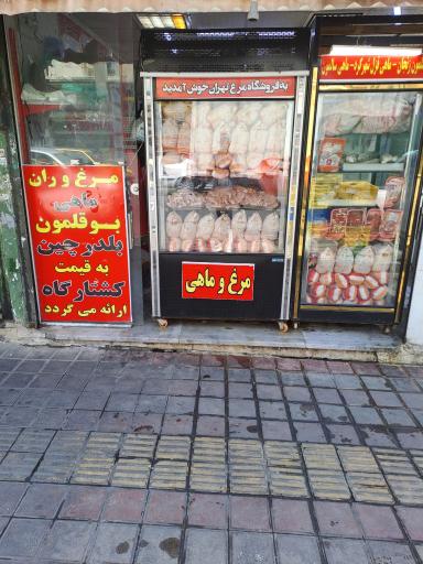 عکس مرغ تهران