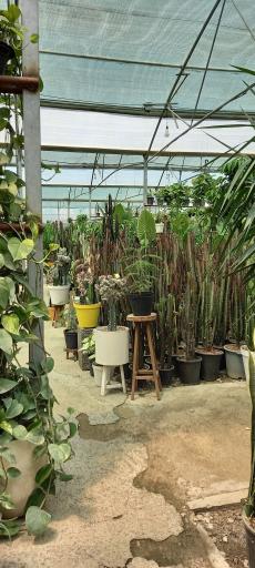 عکس گل فروشی گلبرگ