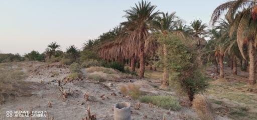 عکس نرماشیر