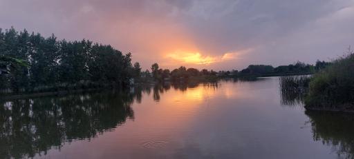 عکس مالفجان
