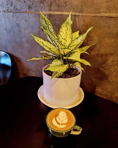 عکس کافه هیچ