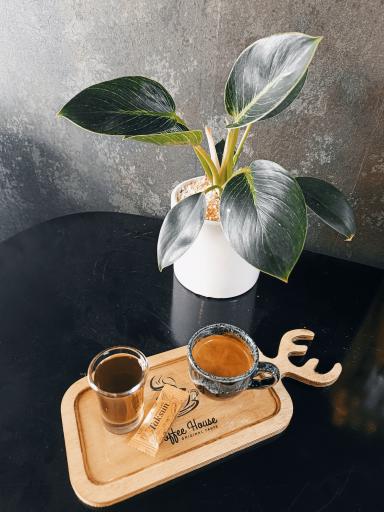 عکس کافه هیچ