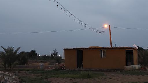 عکس مرعی
