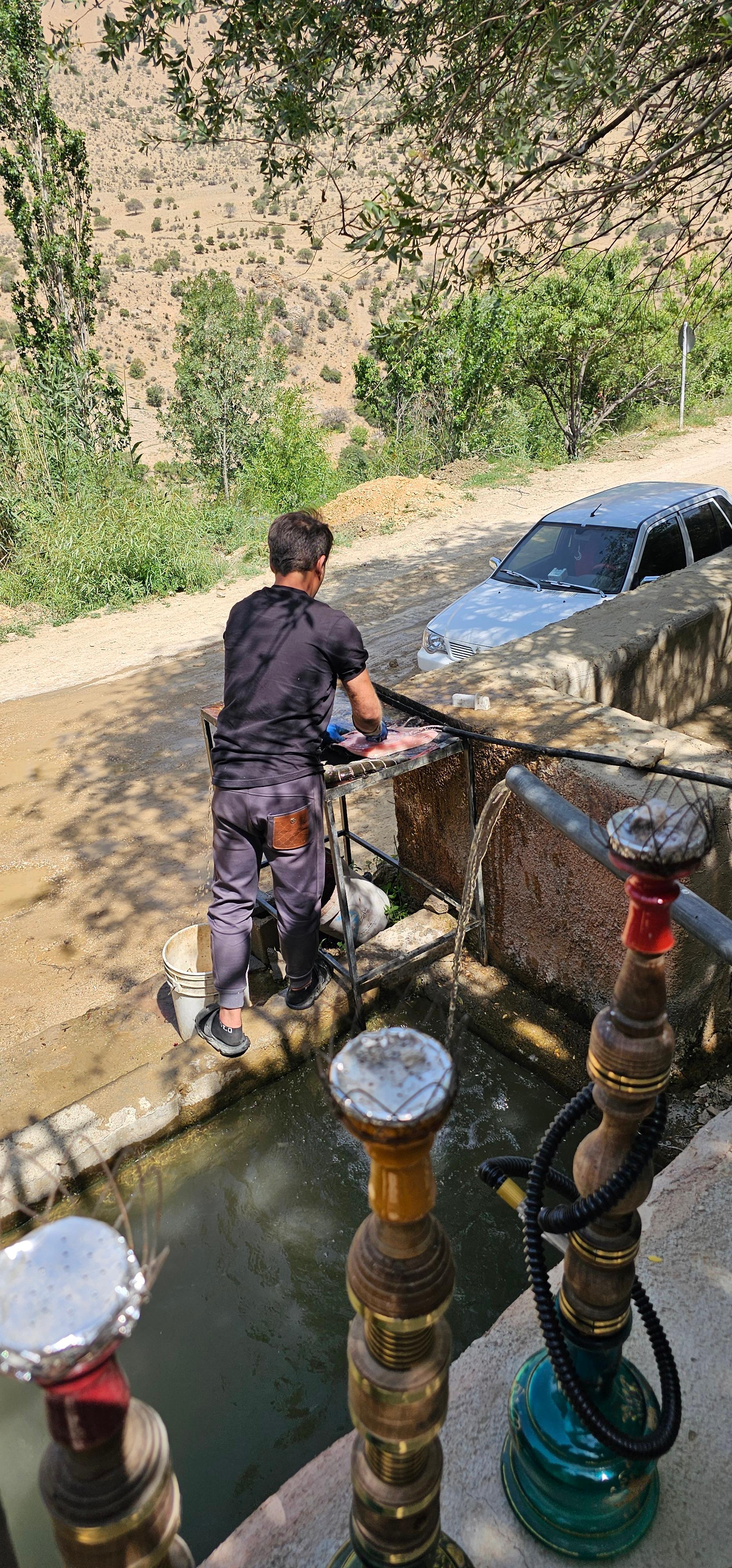 عکس رستوران صلح دوست