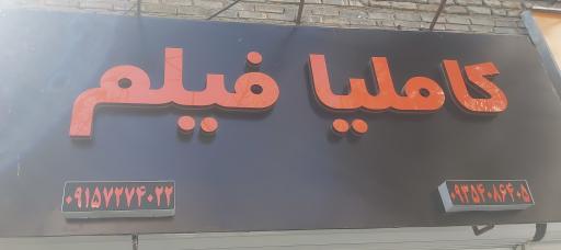 عکس عکاسی و فیلم و عکس کاملیا