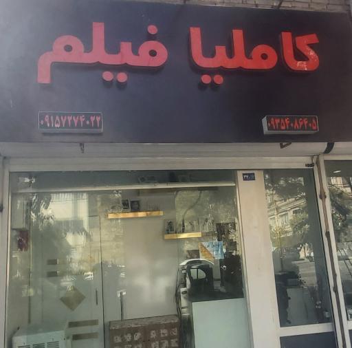 عکس عکاسی و فیلم و عکس کاملیا