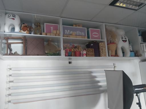 عکس عکاسی و فیلم و عکس کاملیا