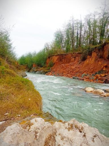 عکس مالفجان
