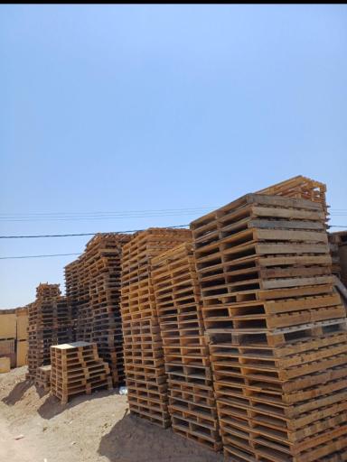 عکس چوب فروشی و پالت سازی کاج