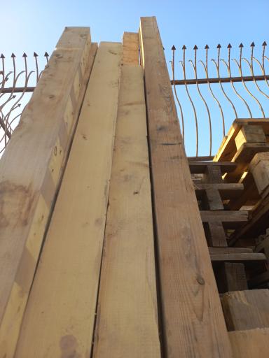 عکس چوب فروشی و پالت سازی کاج