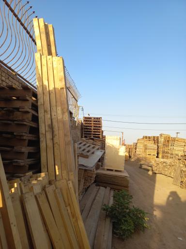 عکس چوب فروشی و پالت سازی کاج