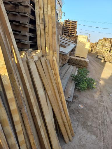 عکس چوب فروشی و پالت سازی کاج