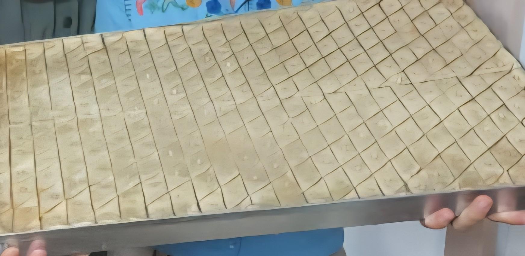 عکس باقلوا شاکری گوگان