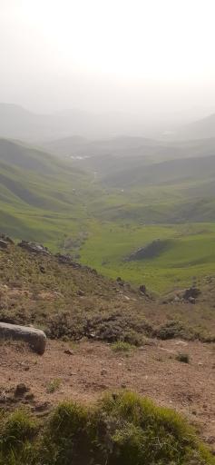 باوله سفلی