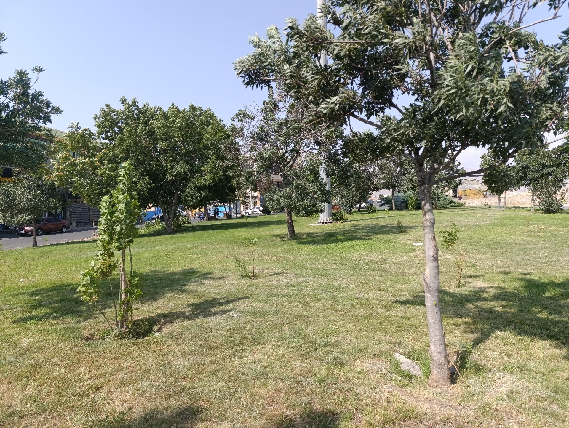 عکس بوستان دیباجی
