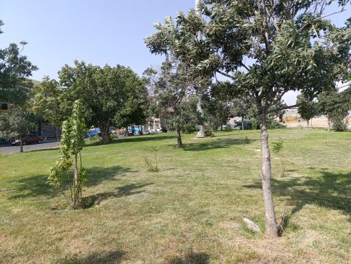 عکس بوستان دیباجی