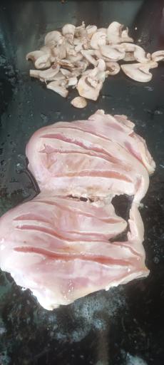 عکس اغذیه مختار