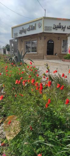 عکس مشاوره املاک پرشین