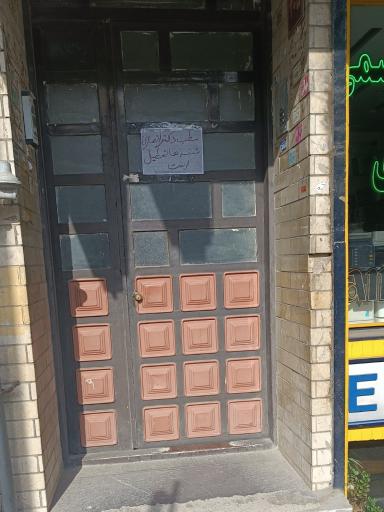 عکس دکتر مصطفی انصاری