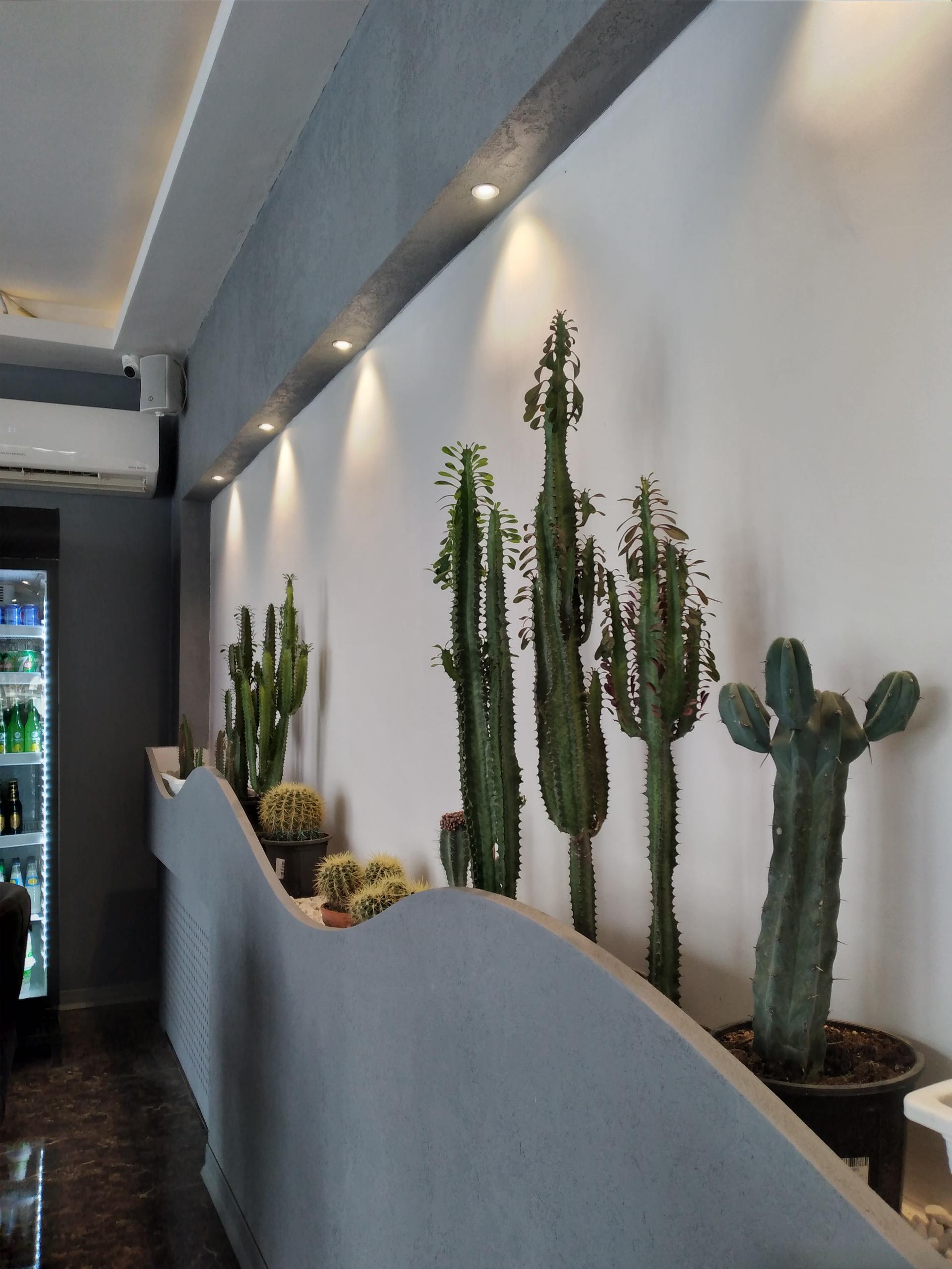 عکس رستوران ته چین (شعبه زیباشهر)