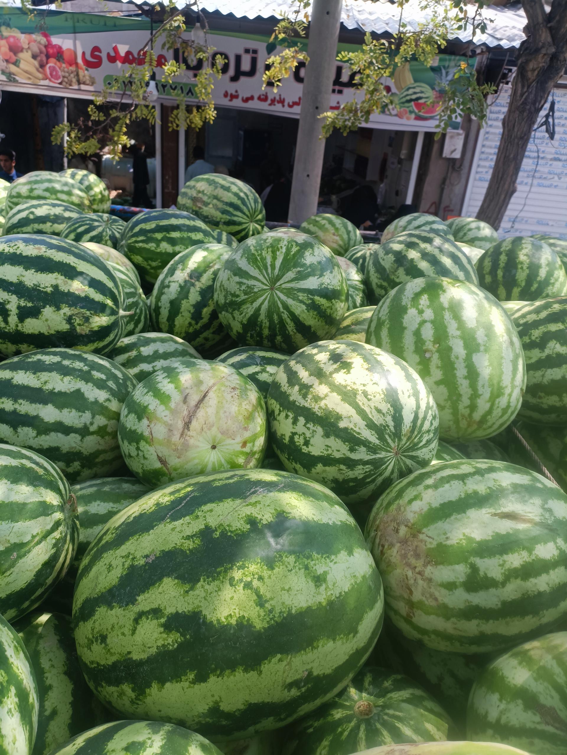عکس میوه سرای رضا محمدی