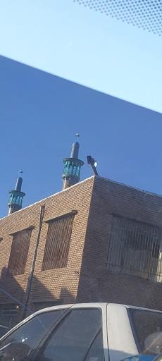عکس بیدخت