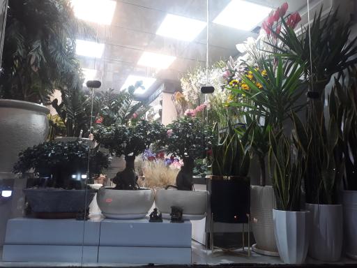 گلفروشی گل مریم 