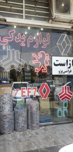 عکس لوازم یدکی فرانس پژو