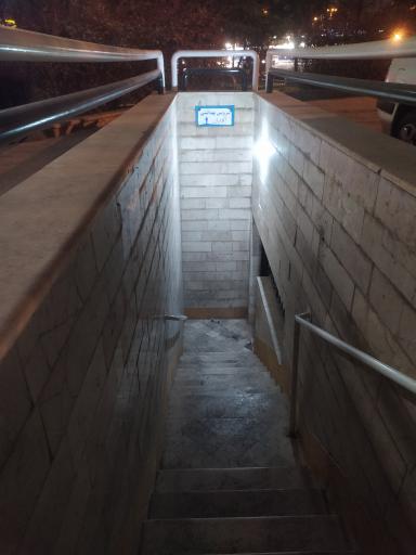 سرویس بهداشتی عمومی