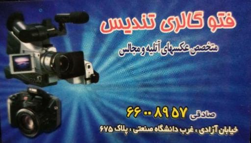 فتوگالری تندیس