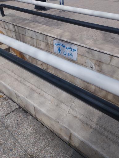 سرویس بهداشتی عمومی