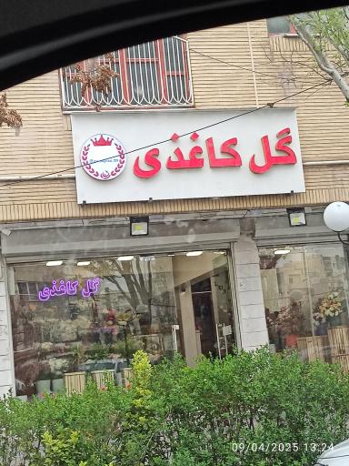 عکس گل کاغذی