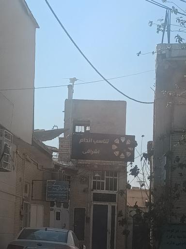 عکس تناسب اندام اشرافی