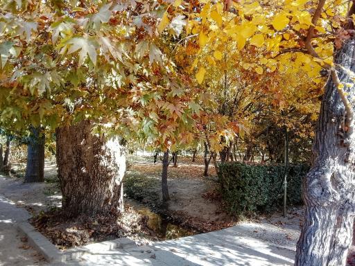 عکس باغ شاهزاده ماهان