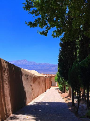 عکس باغ شاهزاده ماهان