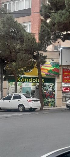 عکس سبزیجات آماده کندلوس