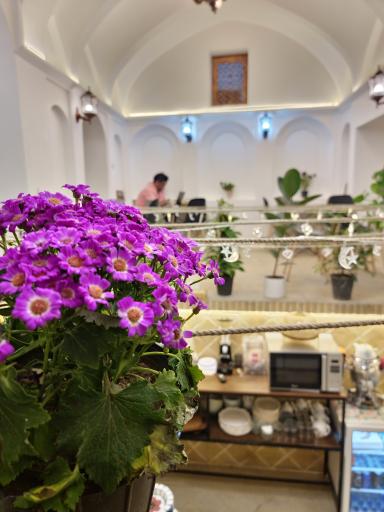 عکس کافه طاقچه