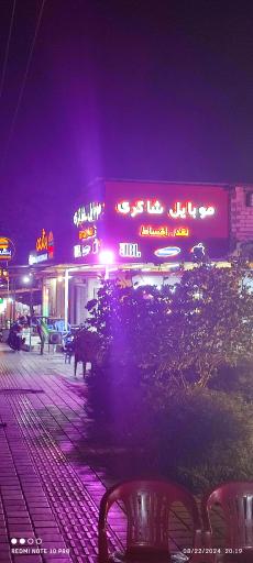 عکس موبایل شاکری 