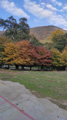 عکس تفرجگاه آبشار جنگل گلستان