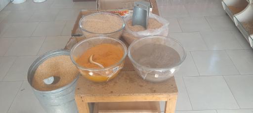 عکس هایپر مارکت رادین