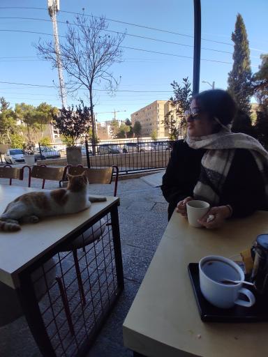 عکس کافه تلوز